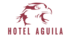 Hotel Aguila 